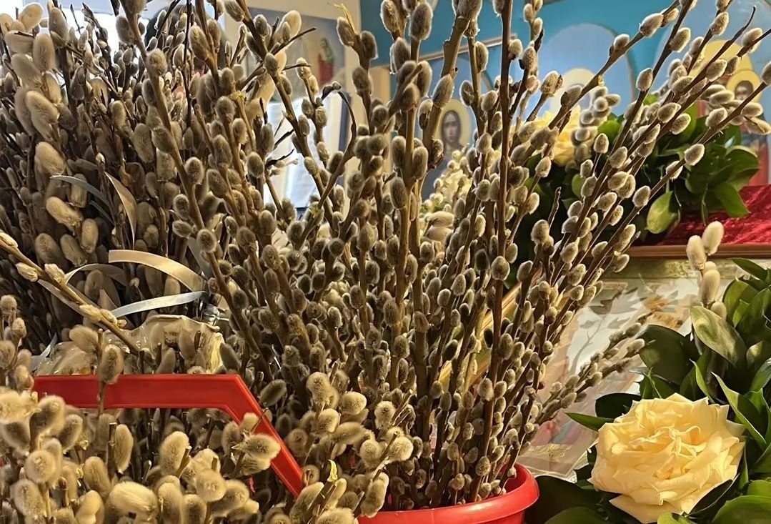 С Вербным Воскресеньем!